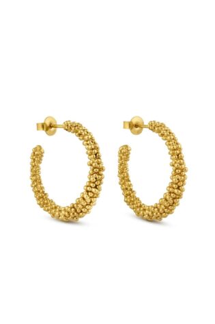 Esplendida Golden Earrings