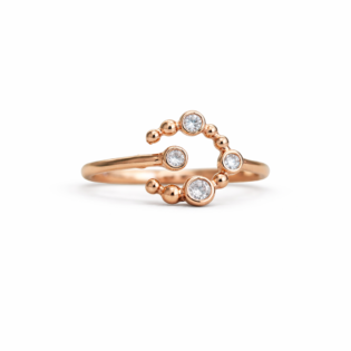 Luna Orbit Rose Silver Ring