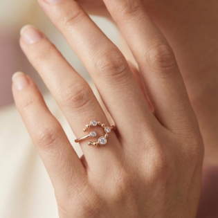Luna Orbit Rose Silver Ring - Image 5