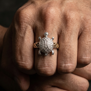 Silvora Turtle - Image 5